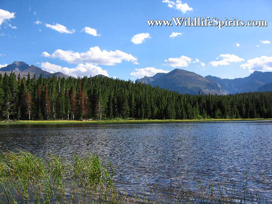Click Picture to send as an  E-PostCard 64k 550x412